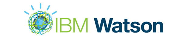 thiết kế logo công ty ibm